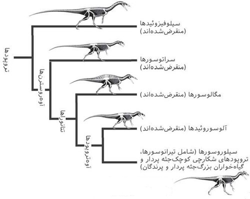 تبارشناسی تروپودها